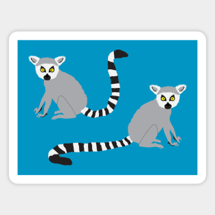 Ring tailed lemurs Magnet